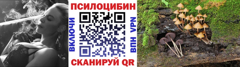 Псилоцибиновые грибы Cubensis  Купить закладки  Приозерск 
